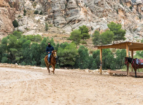 Wadi Musa Giordania Dicembre 2018 Beduino Cavalcando Destriero Arabo Lungo — Foto Stock