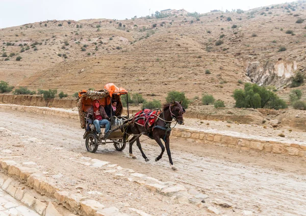 Wadi Musa Giordania Dicembre 2018 Beduini Che Trasportano Turisti Carrozza — Foto Stock