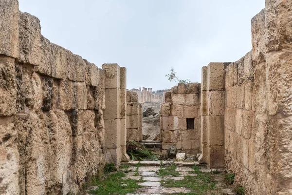 Jerash Jordan Dezember 2018 Überreste Des Tempels Macellum Der Großen — Stockfoto