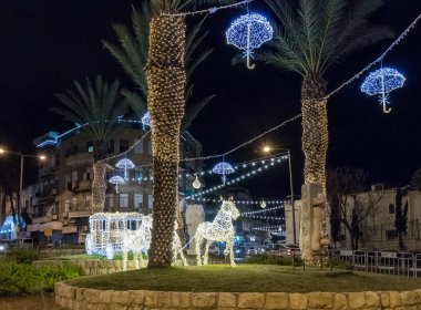 Haifa, İsrail, 23 Aralık 2018: bir at şehirde Haifa, İsrail bir çiçek yatağı üzerinde çizilmiş taşıma ampulleri yapılan standları