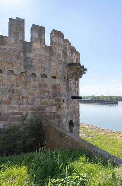 Het fragment van de buitenste klokkentoren in de ruïnes van de vesting Smederevo, staande op de oevers van de rivier de Donau in het stadje Smederevo in Servië. — Stockfoto