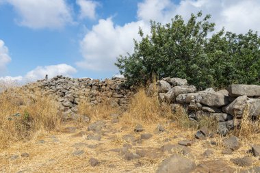 İsrail'deki Golan Tepeleri'ndeki erken Tunç Çağı Ruhlar Tekerlekleri'nin (Rujum Al-Hiri Gilgal Rephaeem) megalitik kompleksinin kalıntıları