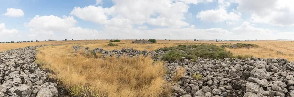 Τα απομεινάρια του μεγαλιθικού συγκροτήματος των πρόωρων τροχών της εποχής του χαλκού (Ruju'al-HIRI Gilgal Rephaeem) στα ύψη του Γκολάν στο Ισραήλ — Φωτογραφία Αρχείου