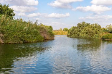 Kuzey İsrail'de Kfar Vitkin yakınlarındaki Alexander Nehri üzerinde batan güneşin ışınlarıpanoramik görünümü