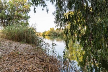 Kuzey İsrail'de Kfar Vitkin yakınlarındaki Alexander Nehri üzerinde batan güneşin ışınlarıpanoramik görünümü