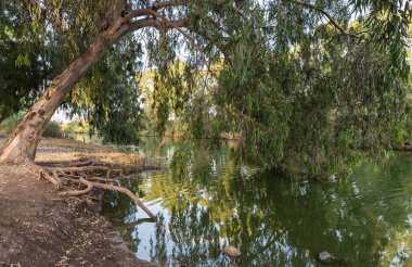 Kuzey İsrail'de Kfar Vitkin yakınlarındaki Alexander Nehri üzerinde batan güneşin ışınlarıpanoramik görünümü