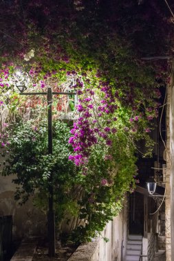 Kuzey İsrail'de Safed eski kentinde sakin bir sokak Gece görünümü