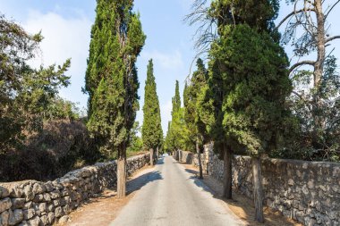 İsrail'in Nasıra kenti yakınlarındaki Tavor Dağı'nda bulunan Katolik Hıristiyan Transfigürasyon Kilisesi'nden ağaçlarla çevrili bir yol