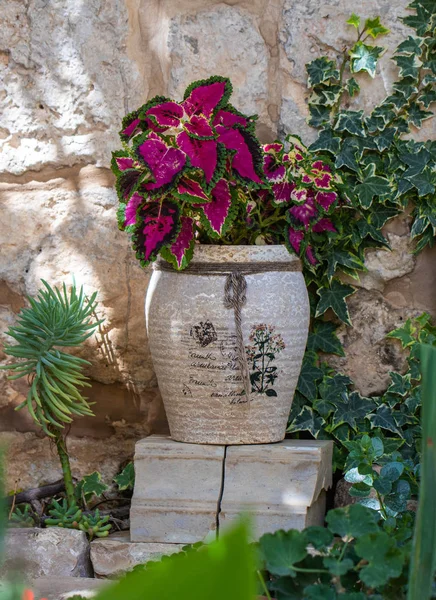 Décorations décoratives dans la cour de la vieille ville de Jérusalem, Israël — Photo
