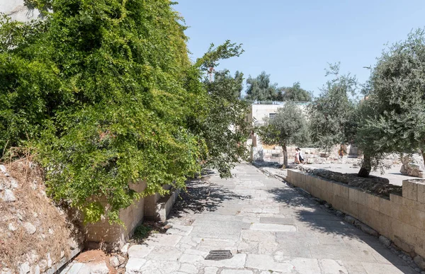 Restos de la calle Romana Cardo cerca de la Puerta del estiércol en la Ciudad Vieja de Jerusalén, Israel — Foto de Stock