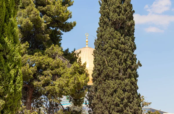 The Dome of the Rock is visible in the gap between the trees on the territory of the interior of the Temple Mount in the Old City in Jerusalem, Israel — Stock Photo, Image