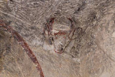 İsrail 'deki Musevi çölünde tütsü yolunda yer alan Nabataean şehri Avdat yakınlarındaki malzeme odasında meşaleler monte edilecek. Unesco Dünya Mirasları Listesine dahil edilmiştir..