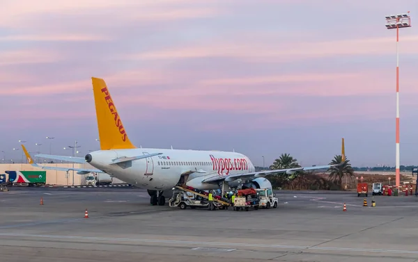 Το αεροπλάνο Airbus A320 της Pegasus Airlines στέκεται στην ανατολή του ηλίου κοντά στον τερματικό σταθμό ενώ περιμένει να φορτώσει στο Διεθνές Αεροδρόμιο Ben Gurion, κοντά στο Τελ Αβίβ στο Ισραήλ — Φωτογραφία Αρχείου