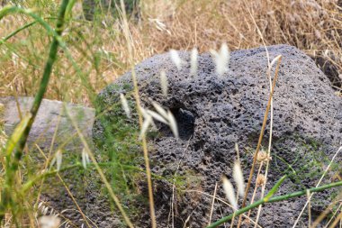 Bizans döneminde yapılmış olan Dir Aziz Sinagogu 'nun kalıntılarındaki ayin taşı, M.Ö. altıncı yüzyılın başında. İsrail 'in Golan Tepeleri' nde yer alır..