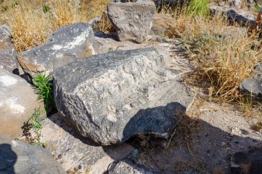MÖ 3. yüzyılın Yunan - Roma şehrinin kalıntılarında kalan sütunlar - MS 8. yüzyılda Hippus - Galile Denizi yakınlarındaki Golan Tepelerinde Susita - Kineret, İsrail