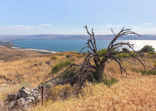 Panorámás Kilátás Romok Görög Római Város Hippus Susita Található Dombon — Stock Fotó