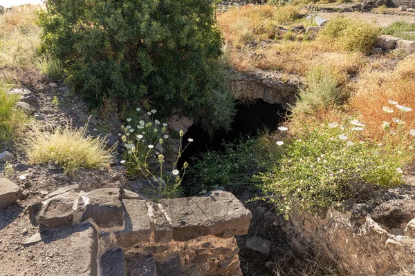 The remains of an underground water tank in ruins of the Greek - Roman city of the 3rd century BC - the 8th century AD Hippus - Susita on the Golan Heights near the Sea of Galilee - Kineret, Israel