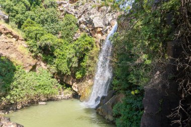 Saar Şelaleleri 'nin soğuk ve berrak suları İsrail' in Golan Tepeleri 'ndeki bir yarıktan aşağı iniyor..