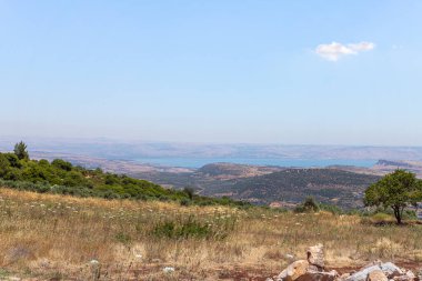 Lavra Netofa Manastırı 'nın üzerinde bulunduğu tepeden, Kinneret Gölü' nü çevreleyen bozkırlarda, ormanlarda ve tepelerde görülmektedir.