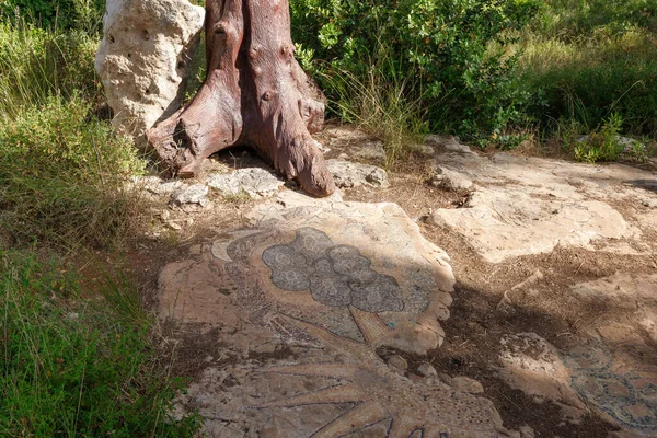 Jeruzalem Israël Juni 2020 Mozaïek Stenen Het Totem Park Het — Stockfoto