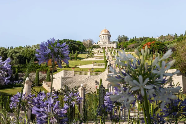 Haïfa Israël Juin 2020 Vue Avenue Sderot Ben Gourion Jardin — Photo