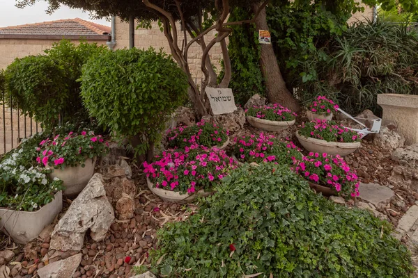 Jerusalén Israel Junio 2020 Parque Shmuel Pequeño Parque Público Jerusalén — Foto de Stock