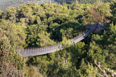 Nesher Parkı 'ndaki asma köprü Kuzey İsrail' deki Nesher şehrinde asma köprüler