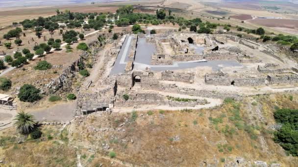 Αεροφωτογραφία στα ερείπια του μεγάλου φρουρίου Hospitaler - Belvoir - Jordan Star - που βρίσκεται σε ένα λόφο πάνω από την κοιλάδα του Ιορδάνη στο Ισραήλ — Αρχείο Βίντεο