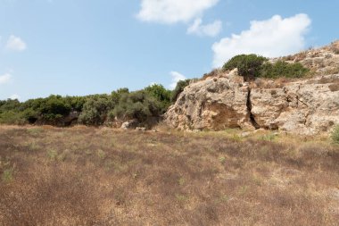 Daha sonra İsrail 'in kuzeyindeki Atlit kenti yakınlarındaki Roma şehri Karta' ya dönüşen eski Fenike kalesinin bitkisel taş duvarları.