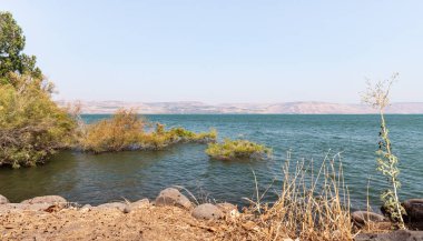 Kinneret - Celile Denizi - Kuzey İsrail 'de Capernaum yakınlarında