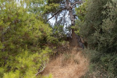 Kafarlet kalesinin eski harabelerinin kalıntıları. Caesarea Lordları 'nın mülküydü, sonra da Hastahanecilere ait oldu. 1291 'de Baybarlar tarafından yakalandı. İsrail 'in kuzeyindeki Atlit şehrinin yakınında.