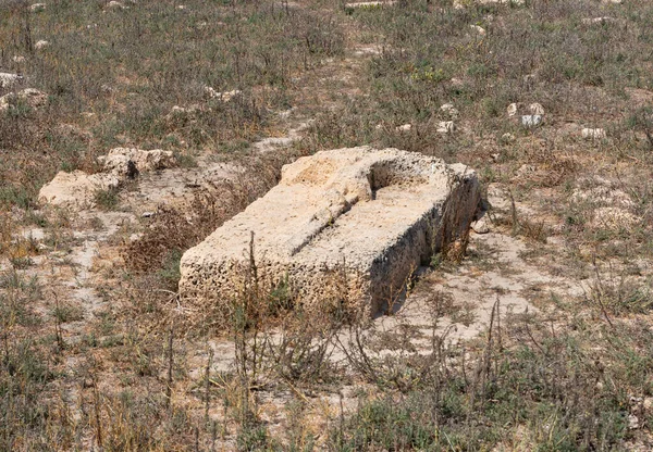 Gravestone Abandoned Templar Cemetery Chateau Fortress City Atlit Northern Israel — Stock Photo, Image
