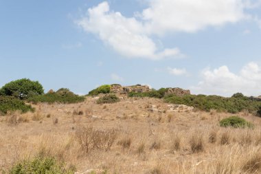 Daha sonra İsrail 'in kuzeyindeki Atlit kenti yakınlarındaki Roma şehri Karta' ya dönüşen eski Fenike kalesinin bitkisel taş duvarları.