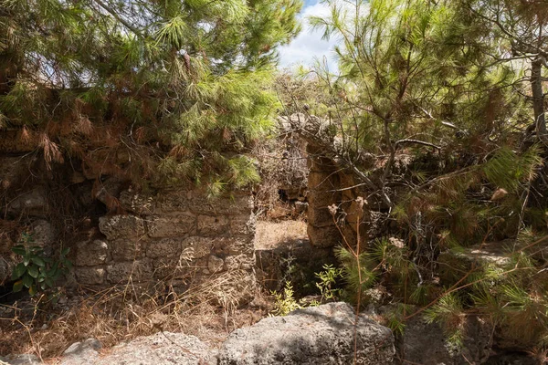 Zbytky Starých Zřícenin Pevnosti Kafarlet Byl Majetkem Pánů Cesareje Pak — Stock fotografie