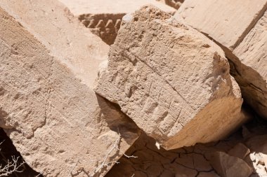 Güney İsrail 'de bir milli park olan Shivta' nın yıkıntılarındaki duvarlara dekoratif taş oymalar Kuzey Negev 'deki antik bir Nabatean şehrinin kalıntılarını içeriyor..