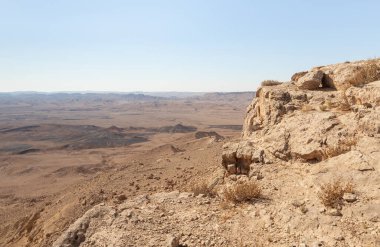 Judean Çölü 'nün üzerinde gün doğumu. İsrail 'deki Mitzpe Ramon yakınlarındaki uçurumun tepesinden bak.
