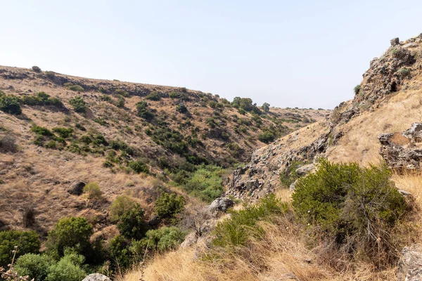 Colinas Cubiertas Hierba Seca Pequeños Árboles Los Altos Del Golán —  Fotos de Stock