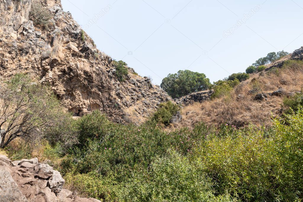Hills overgrown with dry grass and small trees in the Golan Heights in northern Israel