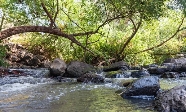 Der Flache Fluss Jalaboun Mit Kristallklarem Wasser Und Mit Bäumen — Stockfoto