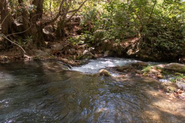 İsrail 'in kuzeyindeki Golan Tepeleri' nde kristal berrak suları olan hızlı Hermon Nehri 'nin yatağı.