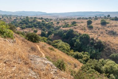 İsrail 'in kuzeyindeki Golan Tepeleri' nde Hermon Nehri 'nin yanındaki doğa.