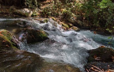 İsrail 'in kuzeyindeki Golan Tepeleri' nde kristal berrak suları olan hızlı Hermon Nehri 'nin yatağı.