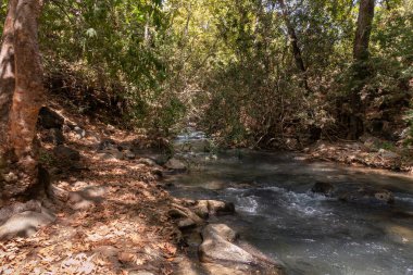 İsrail 'in kuzeyindeki Golan Tepeleri' nde kristal berrak suları olan hızlı Hermon Nehri 'nin yatağı.