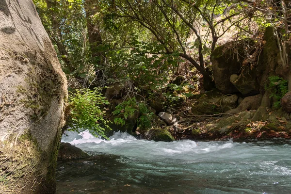 Lecho Del Veloz Río Hermón Con Aguas Cristalinas Los Altos — Foto de Stock