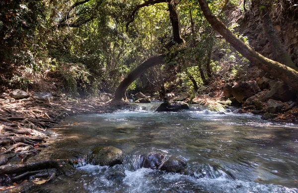 Lecho Del Veloz Río Hermón Con Aguas Cristalinas Los Altos — Foto de Stock