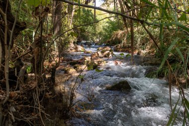 İsrail 'in kuzeyindeki Golan Tepeleri' nde kristal berrak suları olan hızlı Hermon Nehri 'nin yatağı.