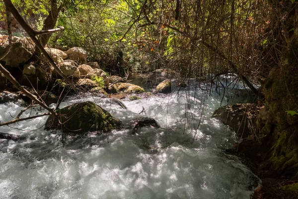 Lecho Del Veloz Río Hermón Con Aguas Cristalinas Los Altos — Foto de Stock