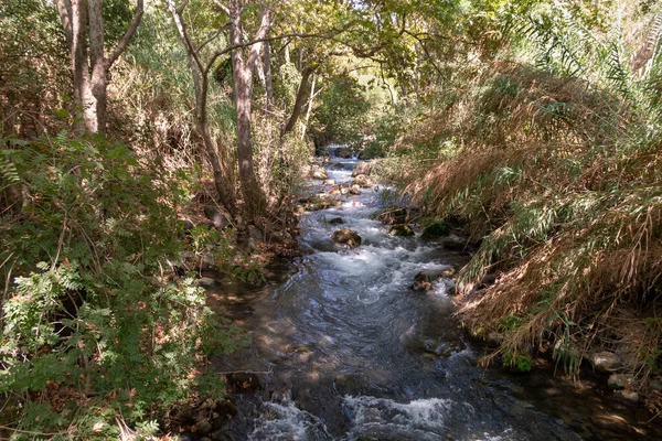 Sengen Den Hurtige Bjergrige Hermon River Med Krystalklart Vand Golanhøjderne - Stock-foto