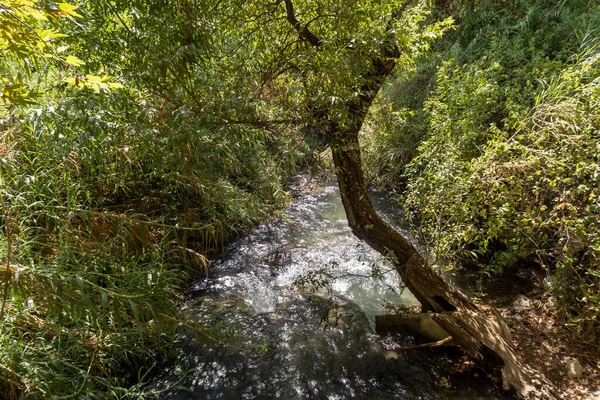 Das Bett Des Schnellen Bergigen Hermon Flusses Mit Kristallklarem Wasser — Stockfoto