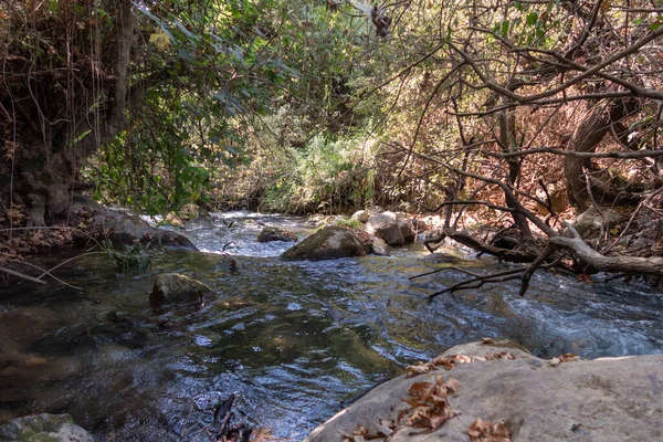Ranjang Sungai Hermon Yang Cepat Bergunung Gunung Dengan Air Jernih — Stok Foto